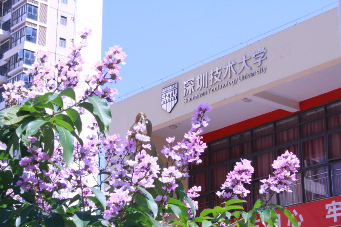 2019草莓视频APP官网团体标准启动仪式